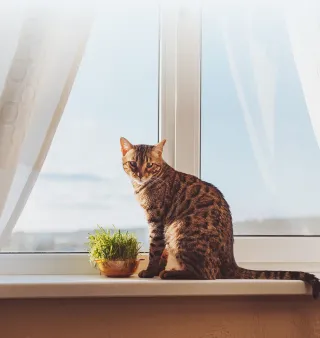 Теплые подоконники — что это и какие плюсы? - фото